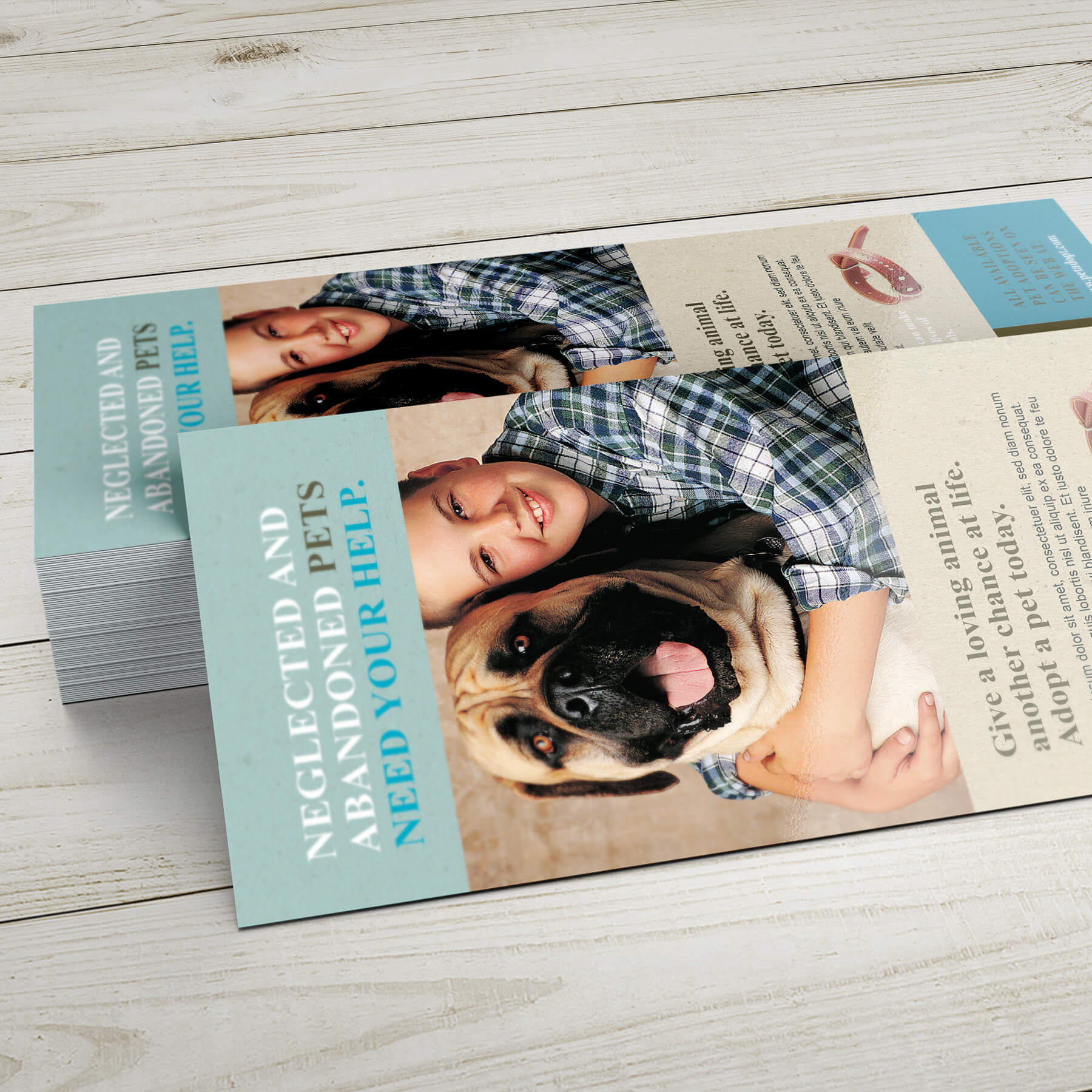 Rack Card - 14pt. Gloss Cover with High-Gloss UV Coating