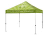 Tent Canopy and Framework